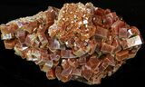 Pristine Red & Brown Vanadinite Crystals on Matrix - Morocco #42212-2